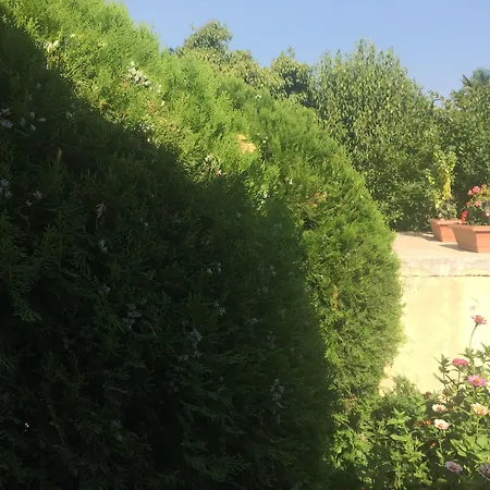 Oldtown 3* Podgoriçe