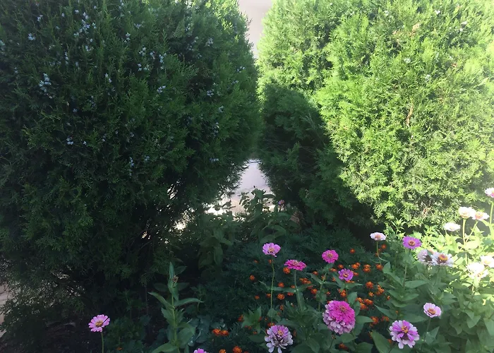 Oldtown 3* Podgorica