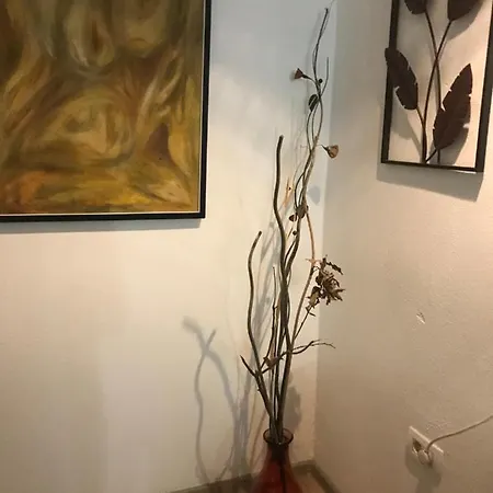 Oldtown 3* Podgorica