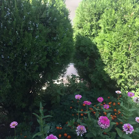 Oldtown 3* Podgorica