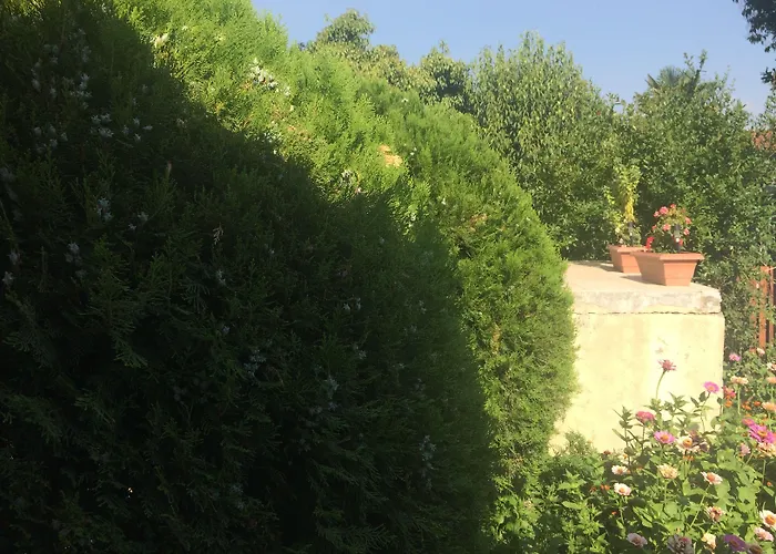 Oldtown 3* Podgorica